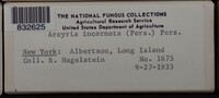 Image Associated With the Occurence